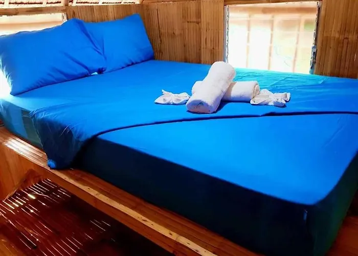 Nirvana Moalboal